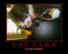 247317675_0755c558c5_m